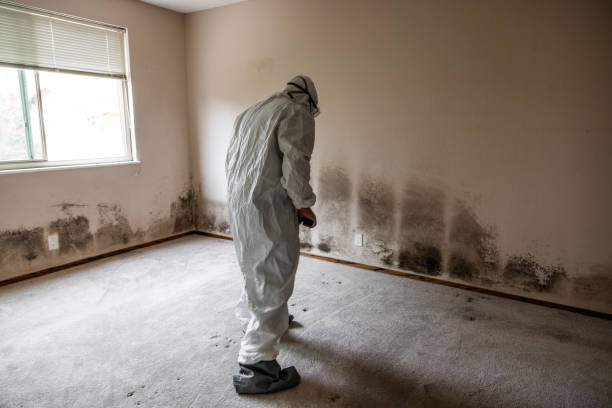 Best Emergency Mold Removal  in Santa Anna, TX