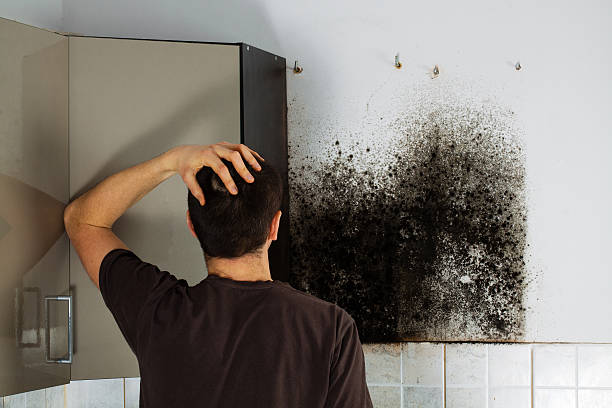Best Mold Testing  in Santa Anna, TX